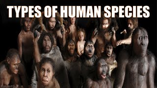 14 Different Types of Human Species  Explained [upl. by Ardnu]