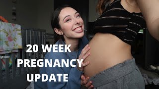 20 WEEK PREGNANCY UPDATE  Belly Shot 19 and pregnant [upl. by Nyliret]