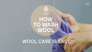 How to Hand Wash a Wool Sweater [upl. by Eatnod]