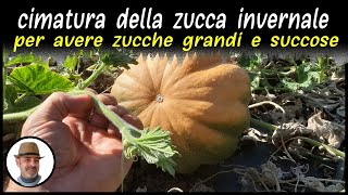 CIMATURA DELLA ZUCCA INVERNALE spiegata passo passo [upl. by Bayly664]