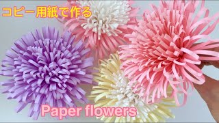 【コピー 用紙】アナスタシア （洋菊）／Paper Flower Chrysanthemum [upl. by Atiuqihs20]