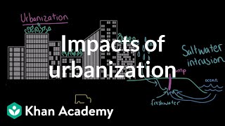 Impacts of Urbanization AP Environmental science Khan Academy [upl. by Loresz]