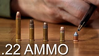 22 Ammunition  A Brief Discussion [upl. by Anamor]