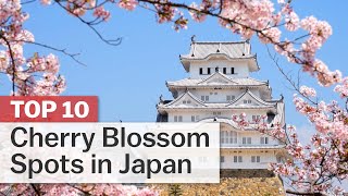 Top 10 Cherry Blossom Spots in Japan  japanguidecom [upl. by Eagle675]