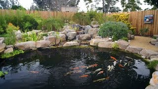 How To Build A Koi Pond  Final [upl. by Kemeny]