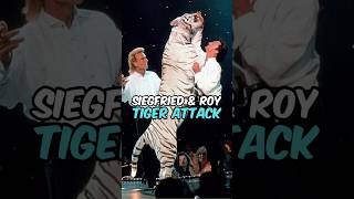 The TRUTH About The Siegfried And Roy Tiger Attack  Joe Rogan [upl. by Weinhardt790]