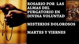 ROSARIO POR LAS ALMAS DEL PURGATORIO EN DIVINA VOLUNTAD CON EXPLICACION UNETE [upl. by Harutak]