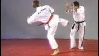 Hapkido side kick defense [upl. by Arzed]