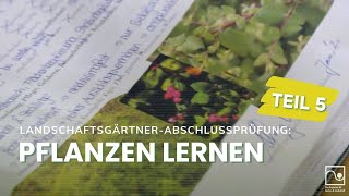 LandschaftsgärtnerAbschlussprüfungen Teil 5 Pflanzen lernen  GaLaBau Bayern [upl. by Kancler]