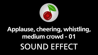 🎧 Applause cheering whistling medium crowd  01 SOUND EFFECT [upl. by Henry]