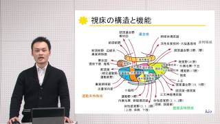 10分でわかる脳の構造と機能vol9「視床・視床下部」‐畿央大学ニューロリハビリテーション研究センター‐ [upl. by Hew]