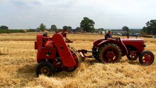 David Brown Cropmaster baling [upl. by Nivat]