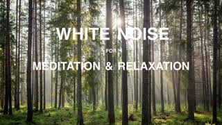 White Noise for Transcendental Meditation amp Relaxation W Gentle Alarm  20 Minute Power Nap [upl. by Chil525]