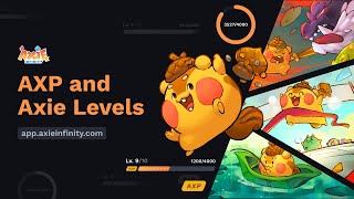 Axie Experience Points AXP and Levels Overview [upl. by Znieh]