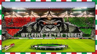 LEGIA WELCOME TO THE JUNGLE [upl. by Sou]