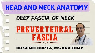 DEEP CERVICAL FASCIA  PREVERTEBRAL FASCIA [upl. by Ilyk396]