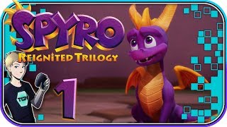 Spyro Reignited Trilogy Walkthrough  Part 1 My Childhood REIGNITED [upl. by Paula]