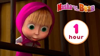 Masha and the Bear 💥🎬 NEW EPISODE 🎬💥 Best cartoon collection 🎪 Variety Show [upl. by Mundt]