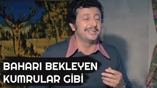 BAHARI BEKLEYEN KUMRULAR GİBİ  Petrol Kralları 1979 [upl. by Omura]