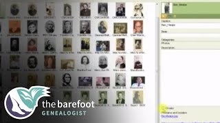 Family Tree Maker Syncing With Your Online Tree  Ancestry [upl. by Kalvn]