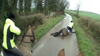 Spooked Horse Falls Across Road [upl. by Dunseath933]