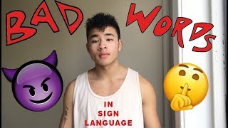 BAD WORDS IN SIGN LANGUAGE [upl. by Ytak601]