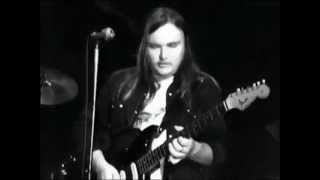 Lynyrd Skynyrd  complete concert from Winterland 1975 [upl. by Naamana]