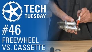 Tech Tuesday 46 Freewheel vs Cassette [upl. by Melquist44]