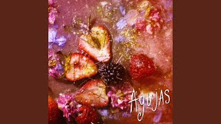 Agujas [upl. by Madalyn286]