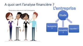 Comprendre lanalyse financière  Facile [upl. by Cantlon525]