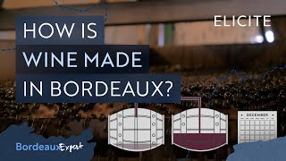 Red Winemaking in Bordeaux Explained [upl. by Yajet]