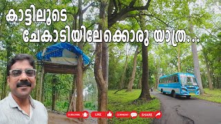 CHEKADI  PULPALLY  WAYANAD [upl. by Nylirem]