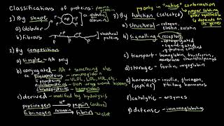 BIOCHEM 16  Protein Classifications and Common Examples [upl. by Yehs]