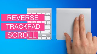 How To Reverse Touchpad Scrolling In Windows 1011 Bootcamp OS [upl. by Adiana]