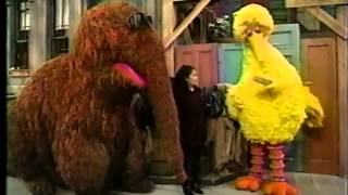 Sesame Street  Big Bird Wants a New Name Part 1 [upl. by Imled516]