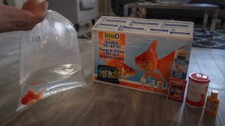 GOLDFISH ONLY AQUARIUM SETUP [upl. by Swift956]