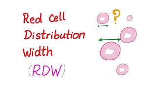 Red Cell Distribution Width RDW  What Does This Lab Test REALLY Mean [upl. by Sexela806]