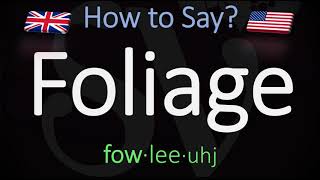 How to Pronounce Foliage CORRECTLY Meaning amp Pronunciation [upl. by Ailimat]