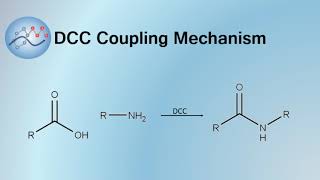 DCC Coupling Mechanism  Organic Chemistry [upl. by Dougherty]