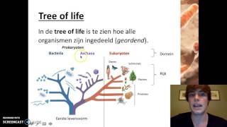 Ordening  Het indelen van organismen [upl. by Ylatfen]