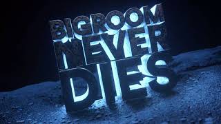 Hardwell amp Blasterjaxx feat Mitch Crown  Bigroom Never Dies Visual Video [upl. by Eibber]