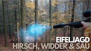 Hirsch Widder und Sau I Jagd in der Eifel 2022 [upl. by Ogden]