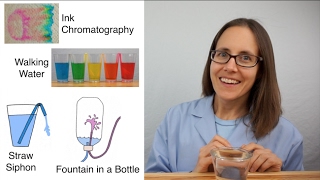 Science Moms Guide to Water Part 3  Capillary Action [upl. by Uv316]