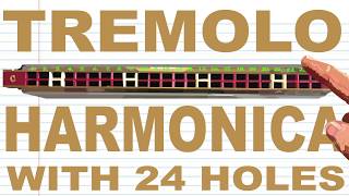 How to Play a Tremolo Harmonica with 24 Holes [upl. by West]