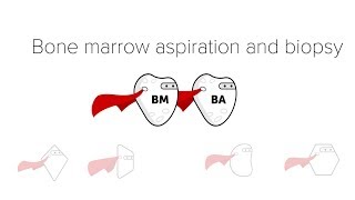 Lecture On Hip Bone [upl. by Cal]