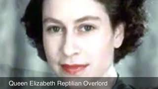 Best Proof of Reptilian Shapeshifters Queen Elizabeth amp more [upl. by Ahoufe587]