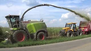 Chopping Corn Silage near Versailles Ohio  August 2017 [upl. by Reider]