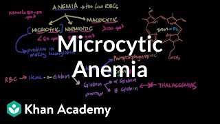 Microcytic anemia  Hematologic System Diseases  NCLEXRN  Khan Academy [upl. by Algie]