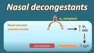 Nasal decongestant  How they act [upl. by Puff]