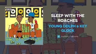 Young Dolph amp Key Glock  Sleep With The Roaches AUDIO [upl. by Bihas]